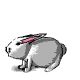 Bobe
