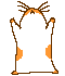 Mortko